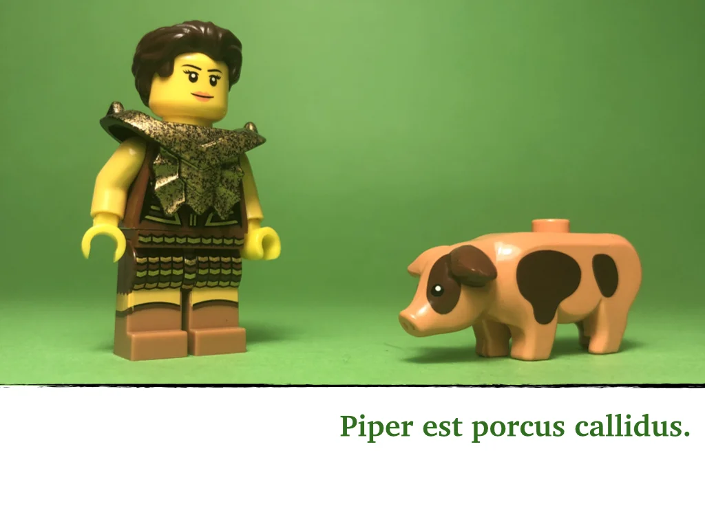 Disco Lesson 18 Remix.006.jpeg