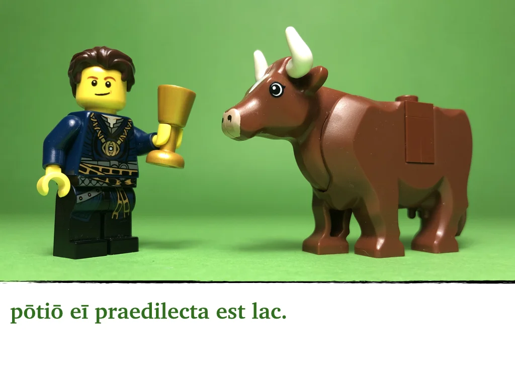 Disco Lesson 18 Remix.015.jpeg