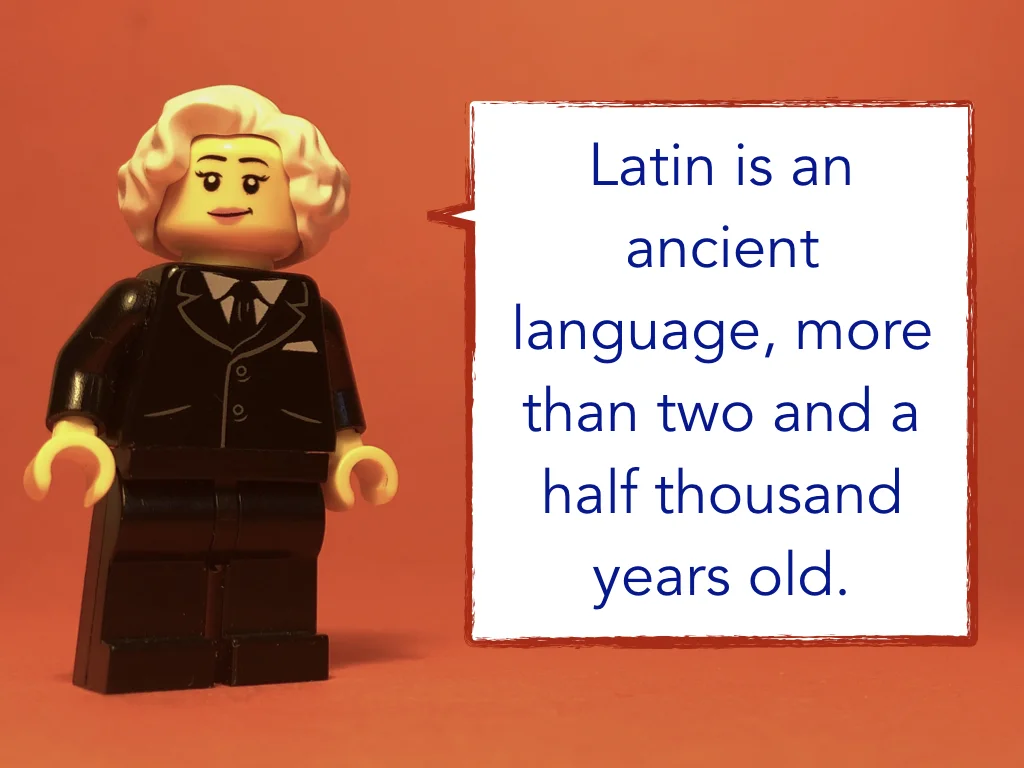 Disco Lesson 0 Remix.008.jpeg