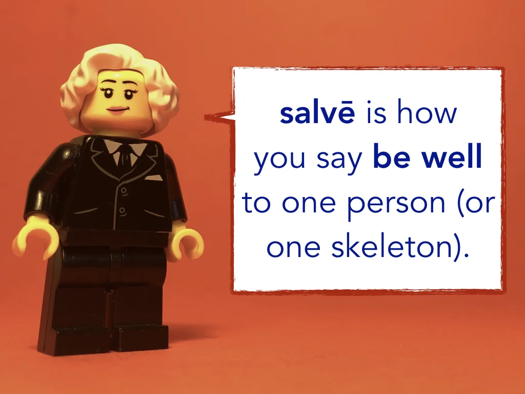 Disco Lesson 1 Remix Remix.014.jpeg