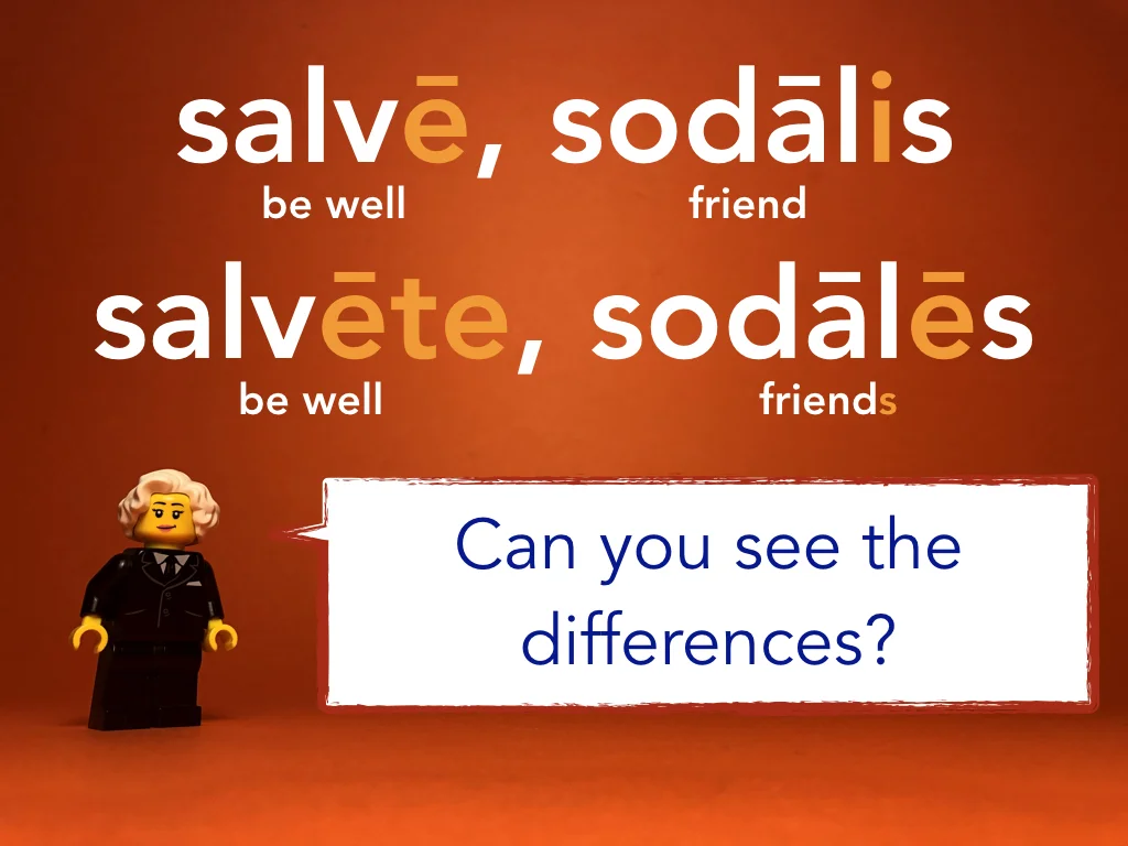 Disco Lesson 1 Remix Remix.022.jpeg