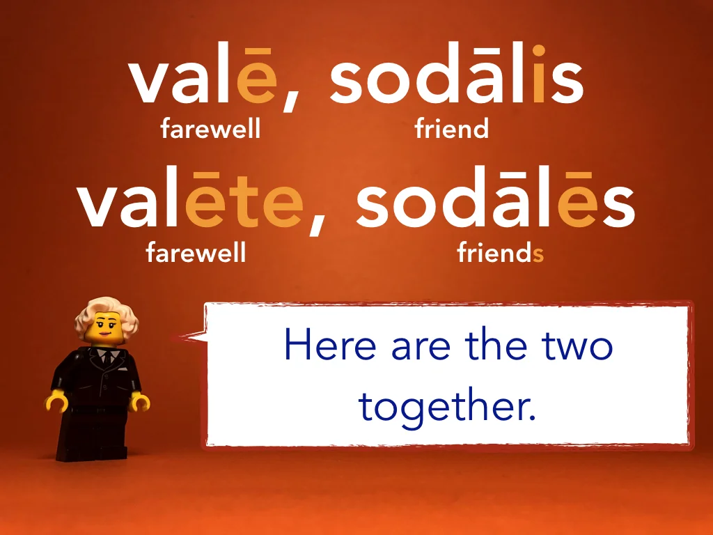 Disco Lesson 1 Remix Remix.026.jpeg