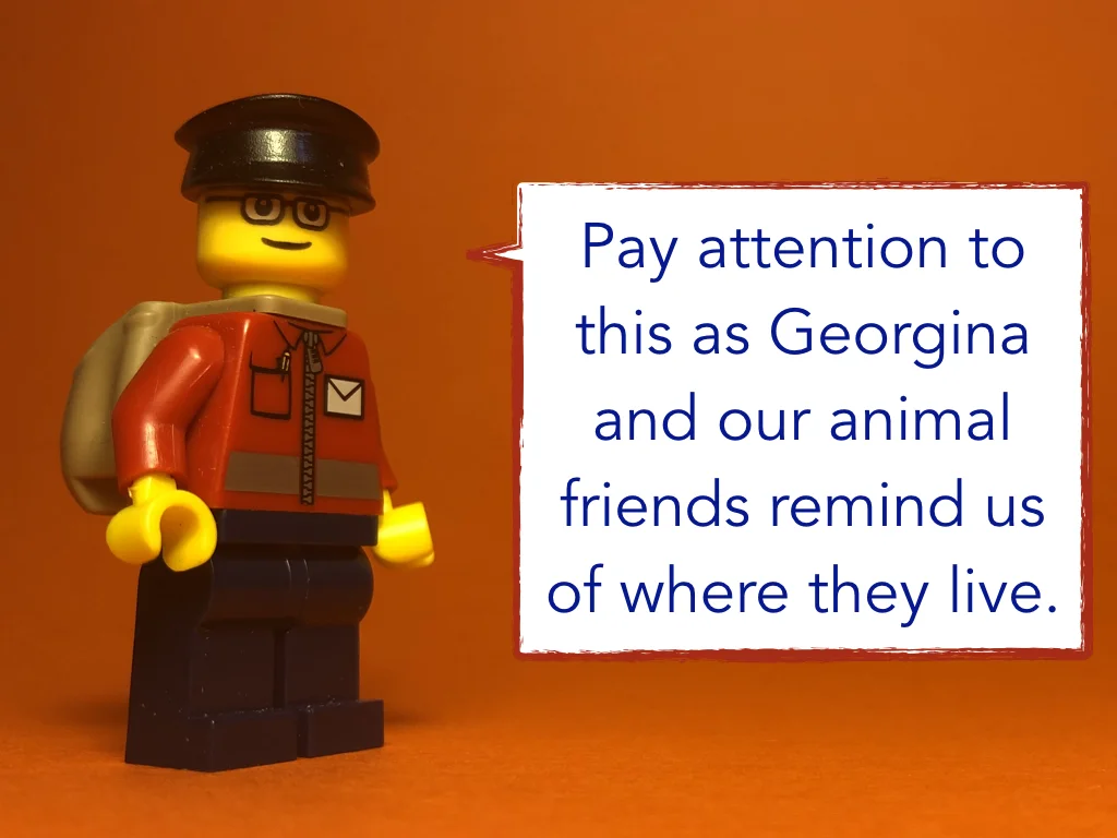 Disco Lesson 22 Remix.014.jpeg