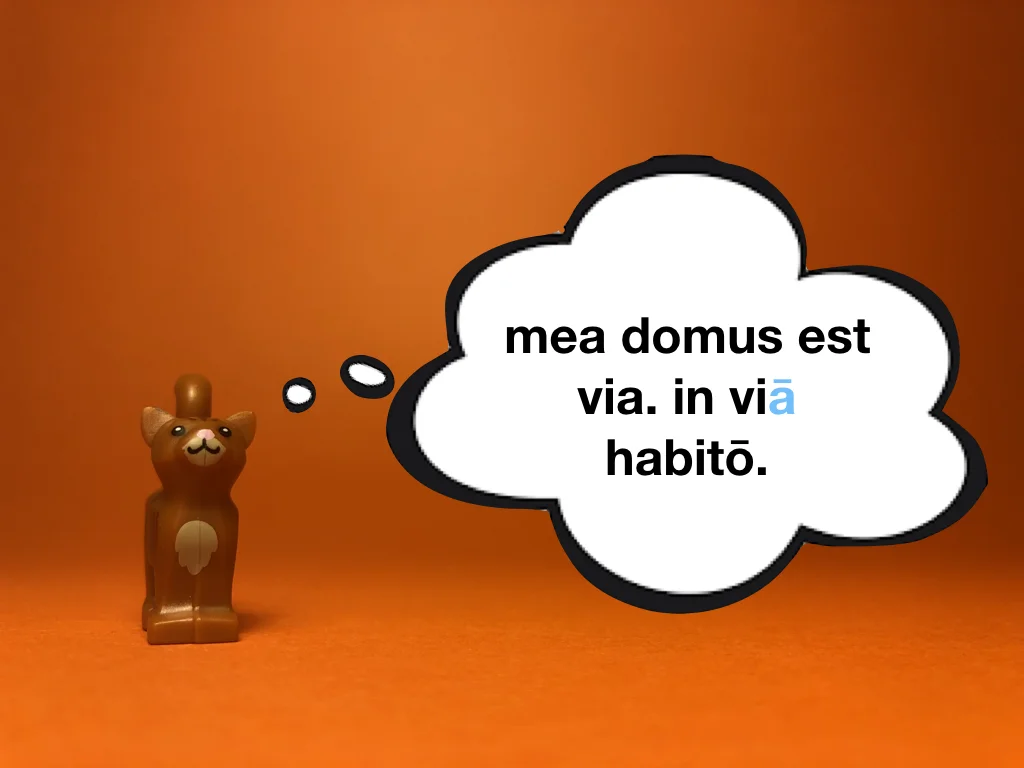 Disco Lesson 22 Remix.016.jpeg