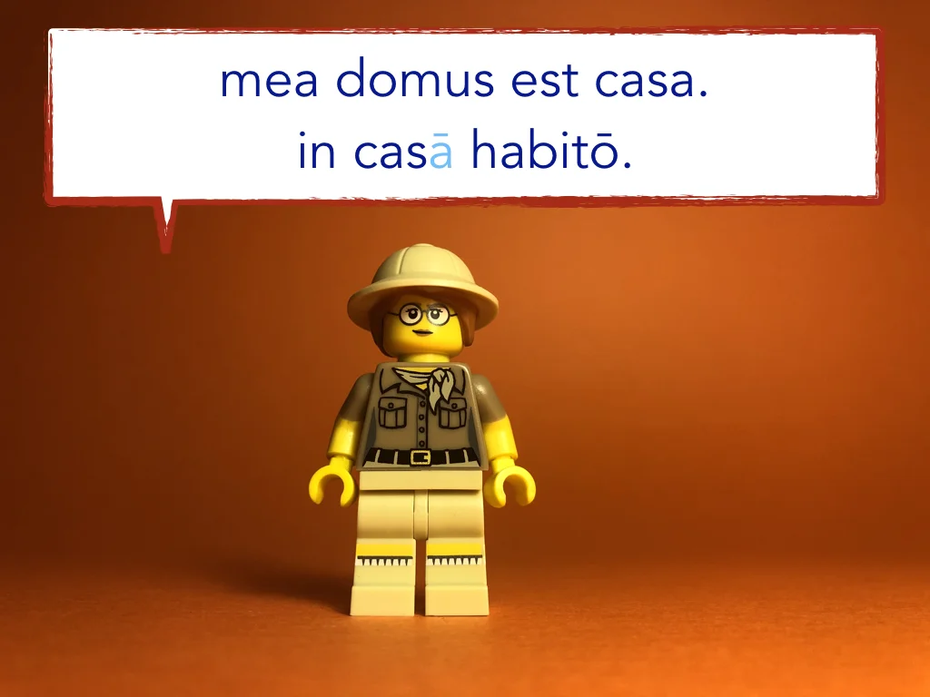 Disco Lesson 22 Remix.015.jpeg