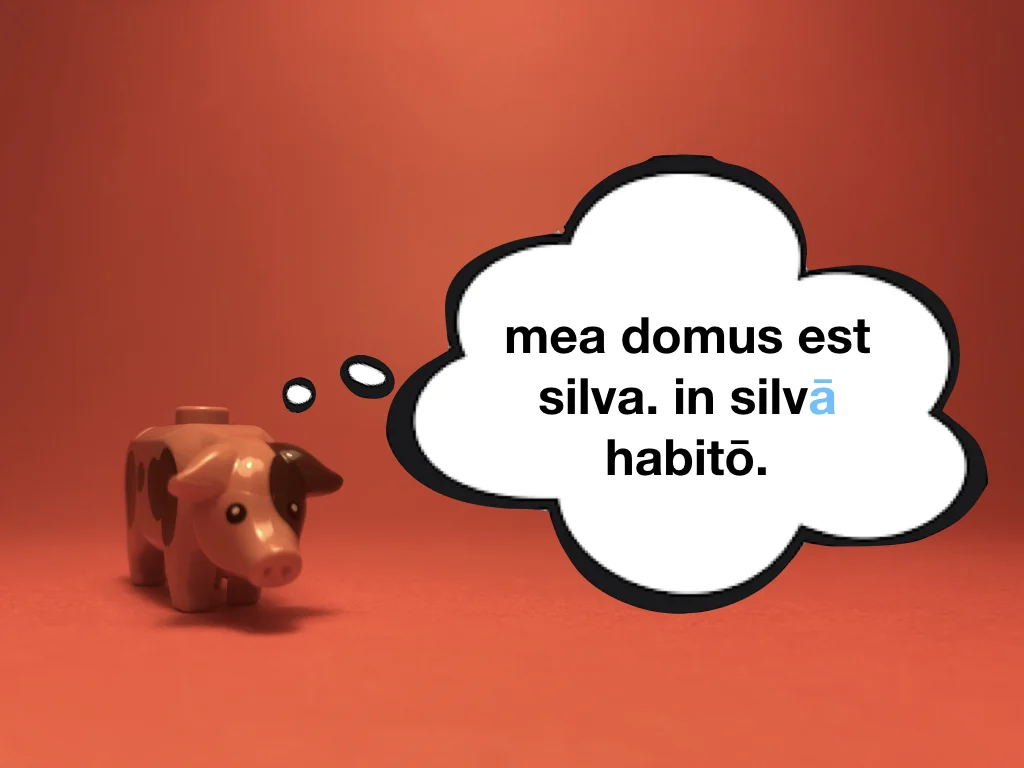 Disco Lesson 22 Remix.017.jpeg