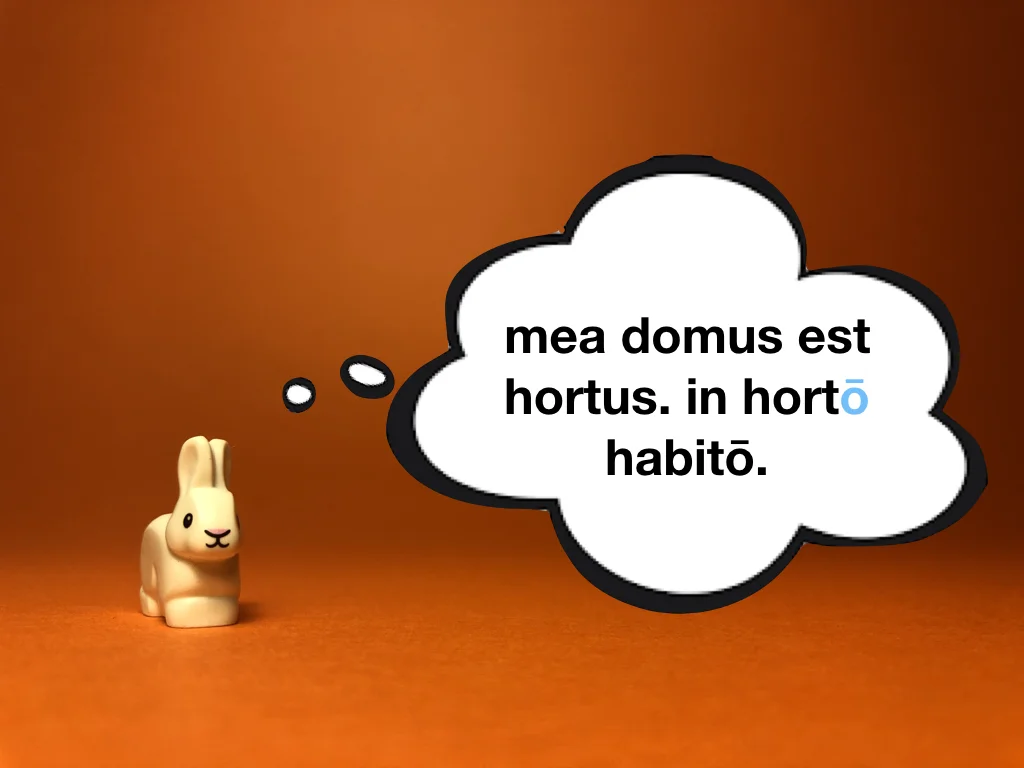 Disco Lesson 22 Remix.018.jpeg