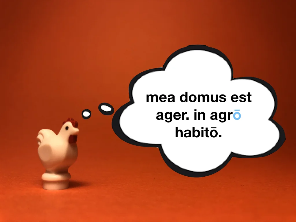 Disco Lesson 22 Remix.019.jpeg