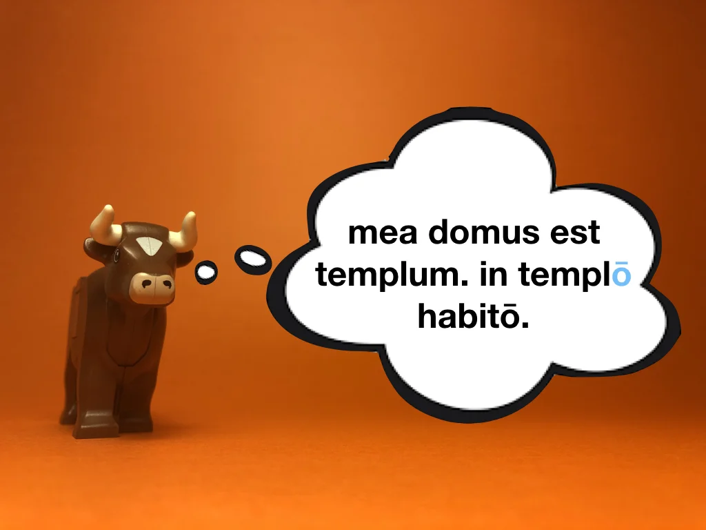 Disco Lesson 22 Remix.020.jpeg