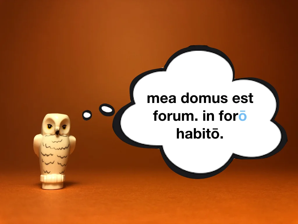 Disco Lesson 22 Remix.021.jpeg