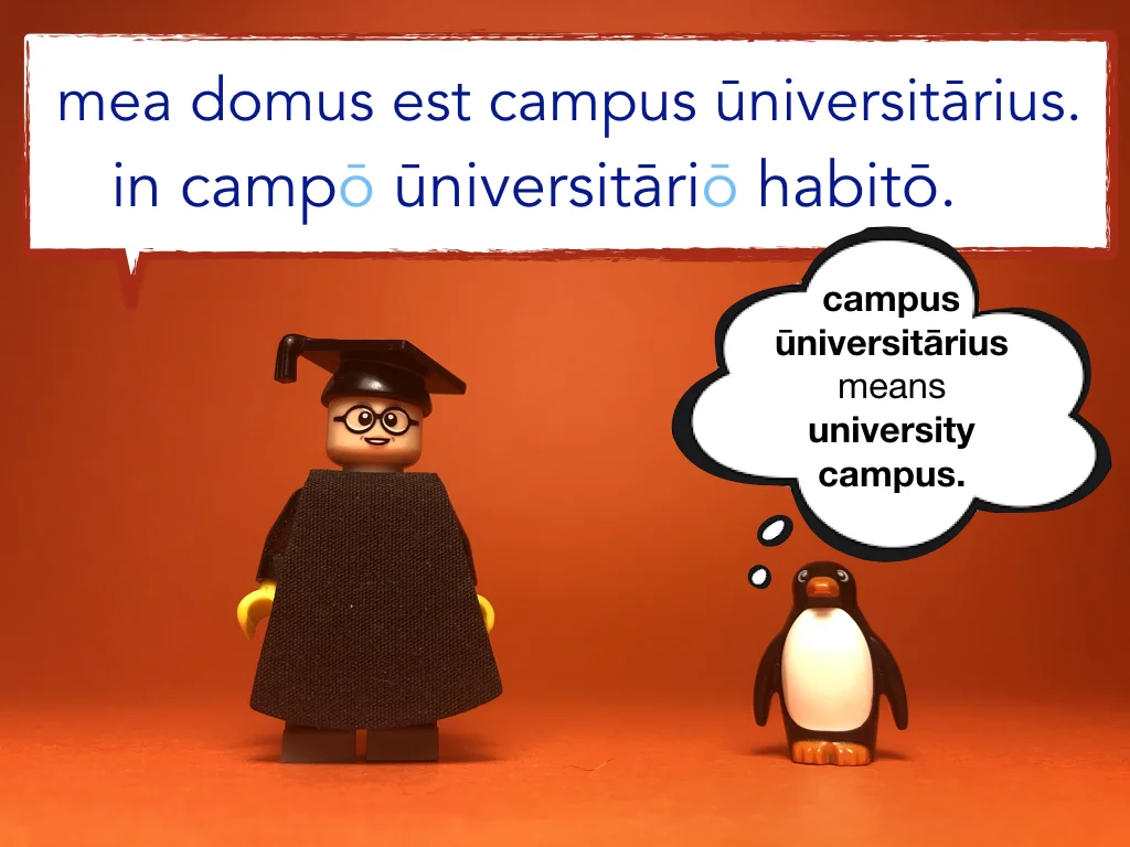 Disco Lesson 22 Remix.035.jpeg