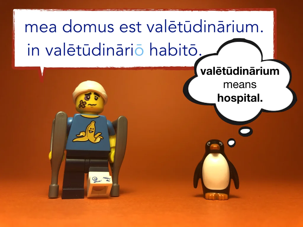 Disco Lesson 22 Remix.037.jpeg