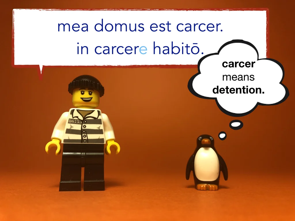 Disco Lesson 22 Remix.042.jpeg