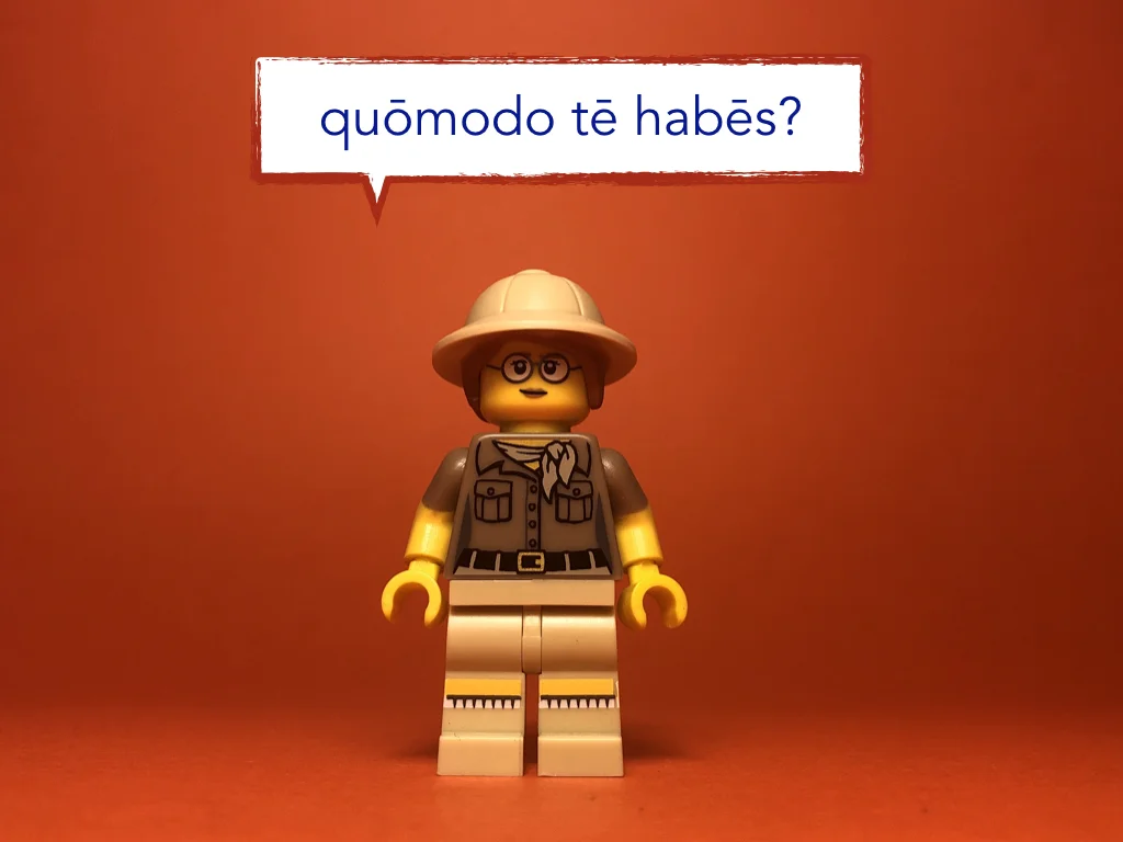 Disco Lesson 21 Remix.003.jpeg