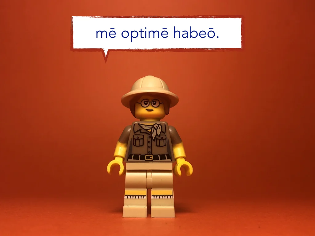 Disco Lesson 21 Remix.004.jpeg