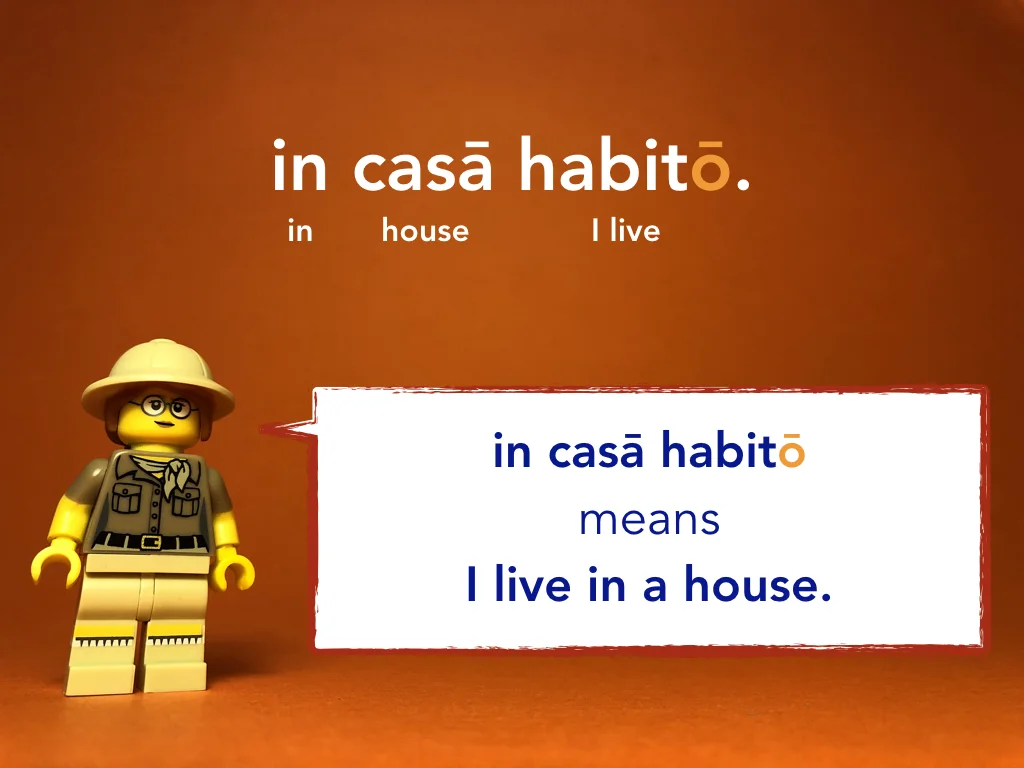 Disco Lesson 21 Remix.008.jpeg