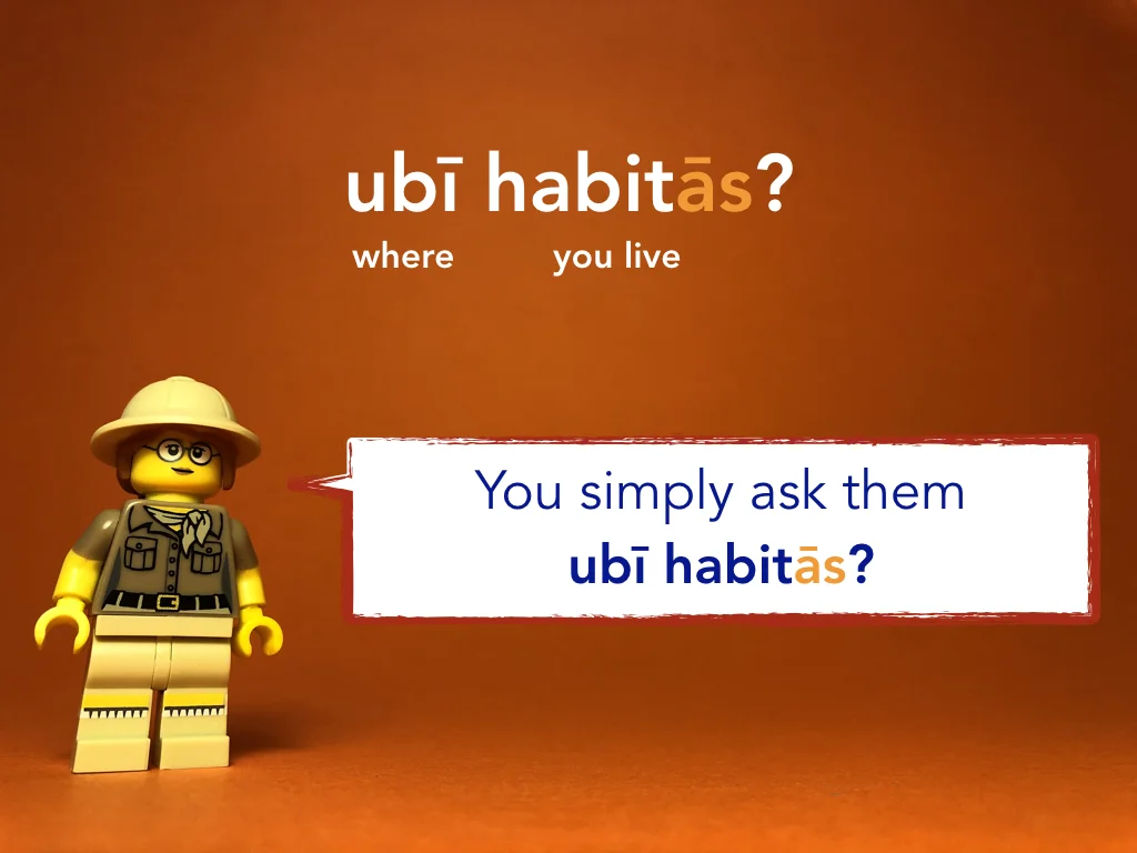 Disco Lesson 21 Remix.015.jpeg