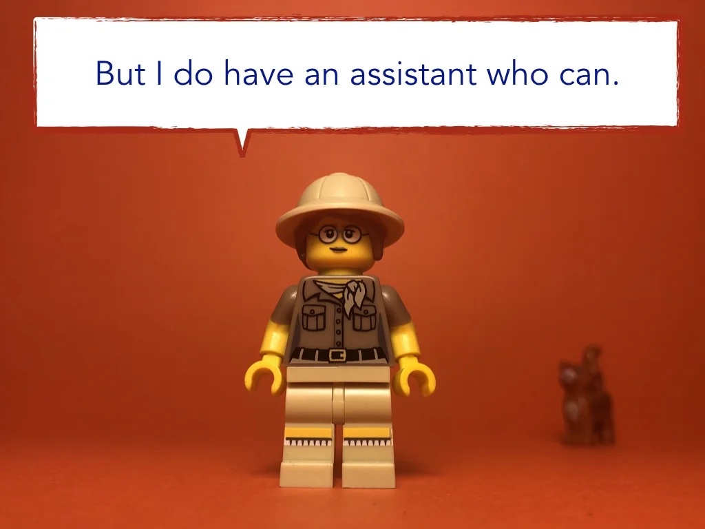 Disco Lesson 21 Remix.017.jpeg