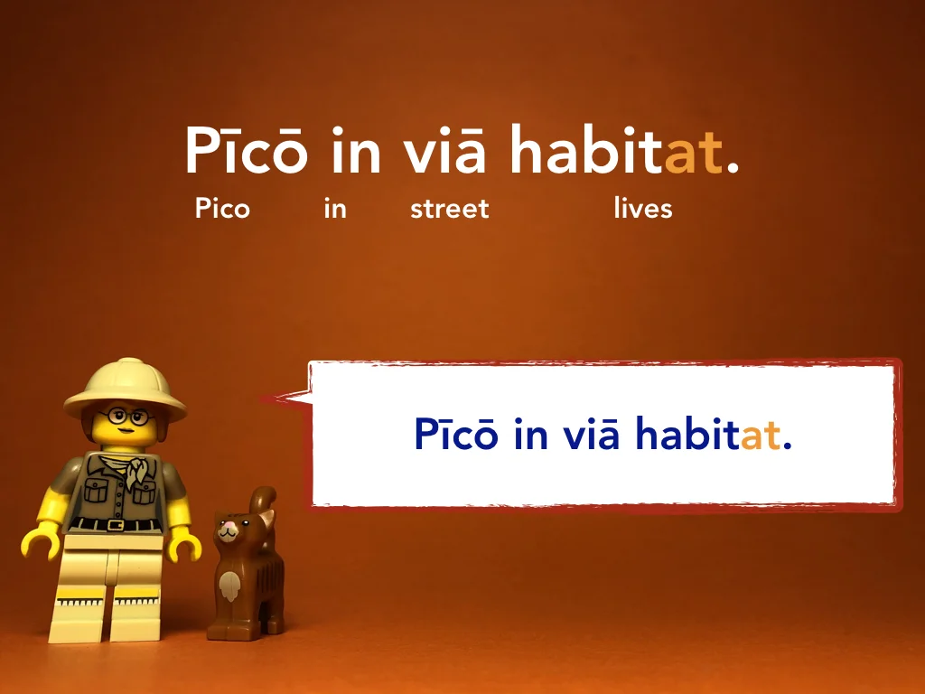 Disco Lesson 21 Remix.021.jpeg