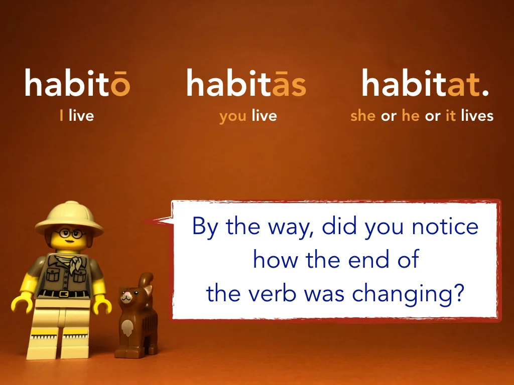 Disco Lesson 21 Remix.022.jpeg