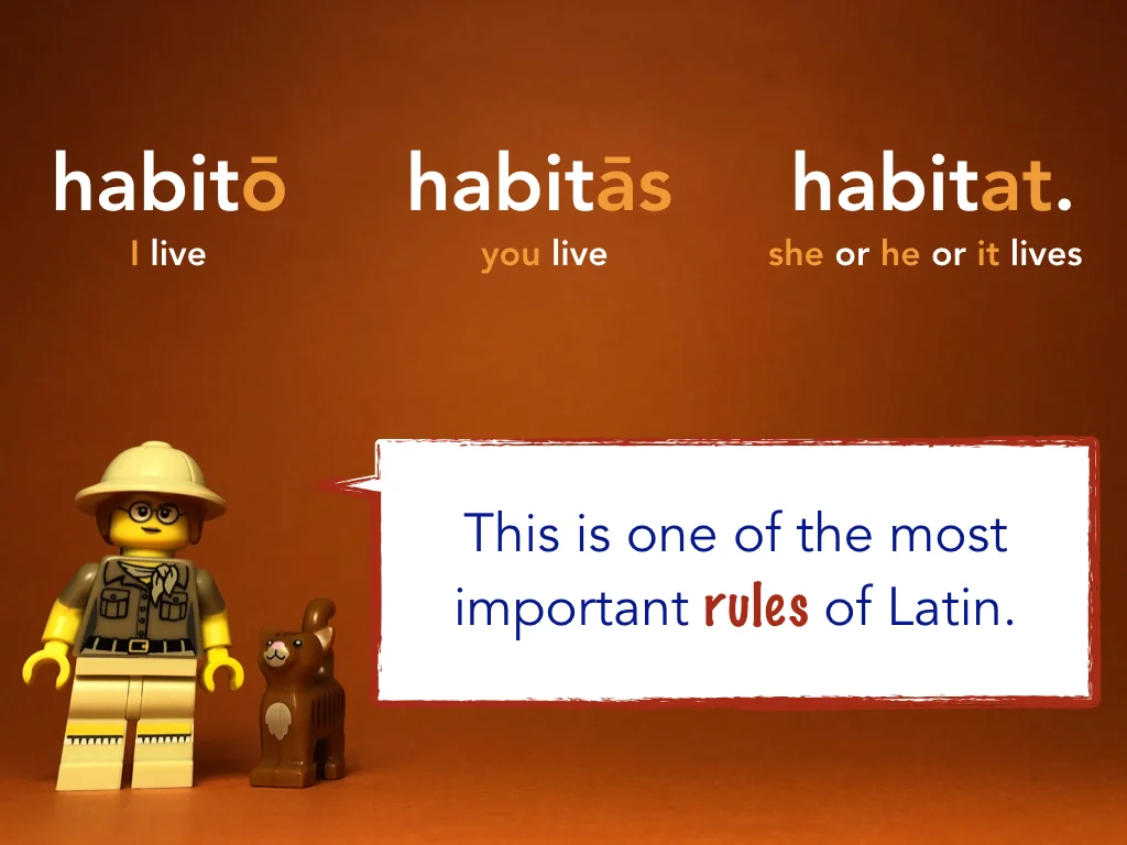 Disco Lesson 21 Remix.023.jpeg