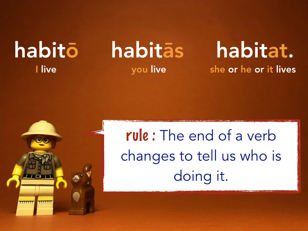 Disco Lesson 21 Remix.024.jpeg