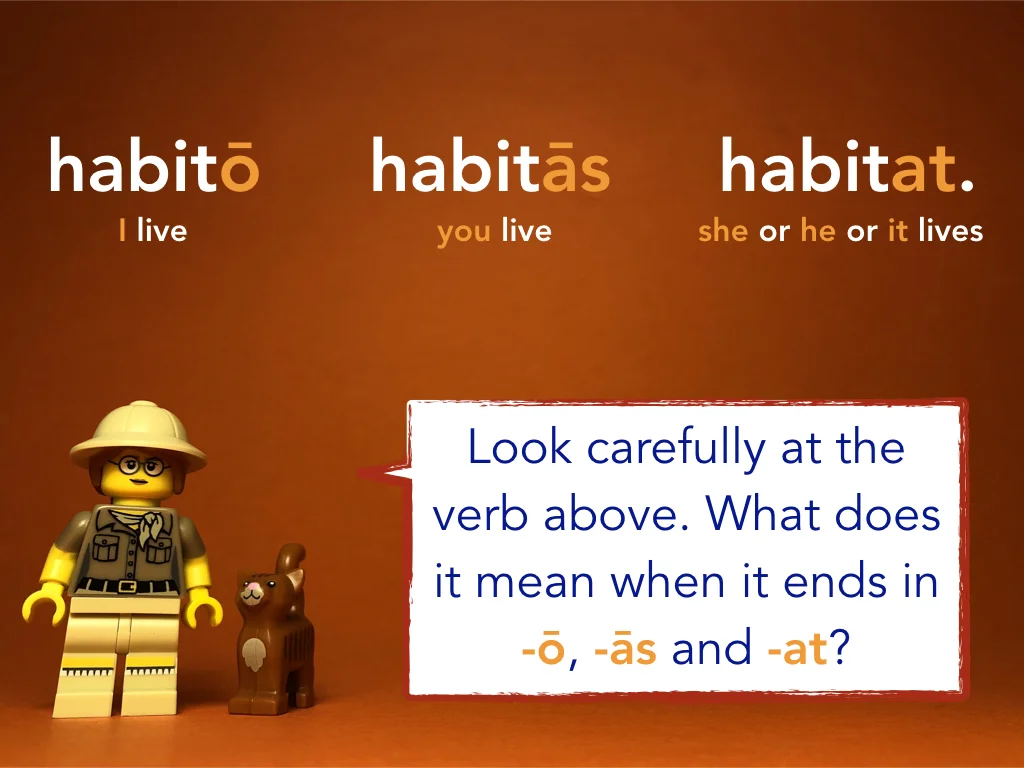 Disco Lesson 21 Remix.025.jpeg