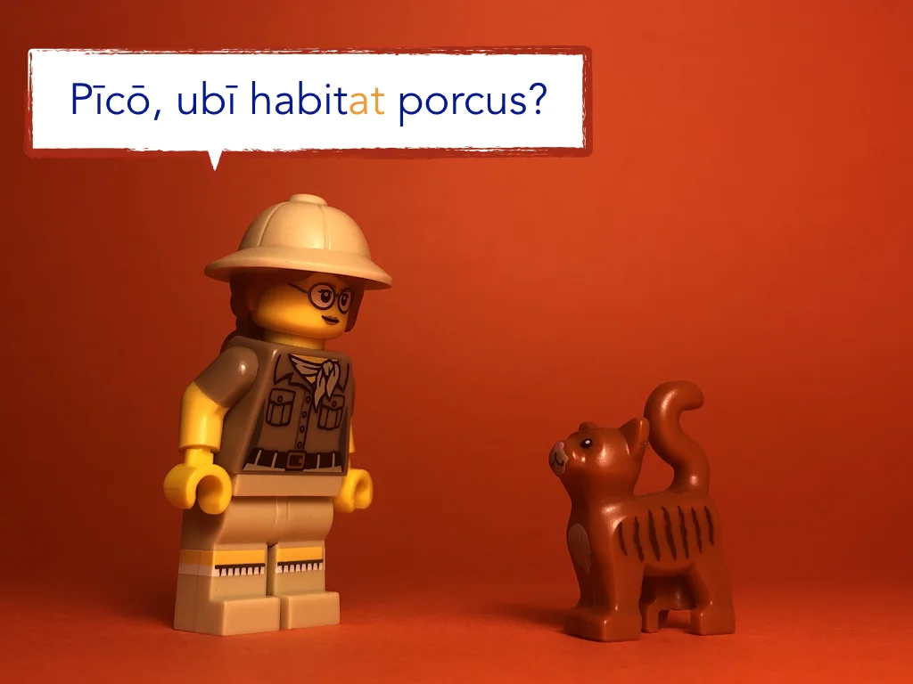 Disco Lesson 21 Remix.027.jpeg