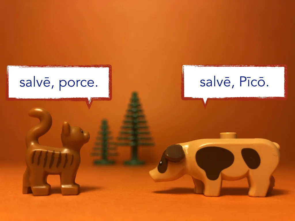 Disco Lesson 21 Remix.028.jpeg