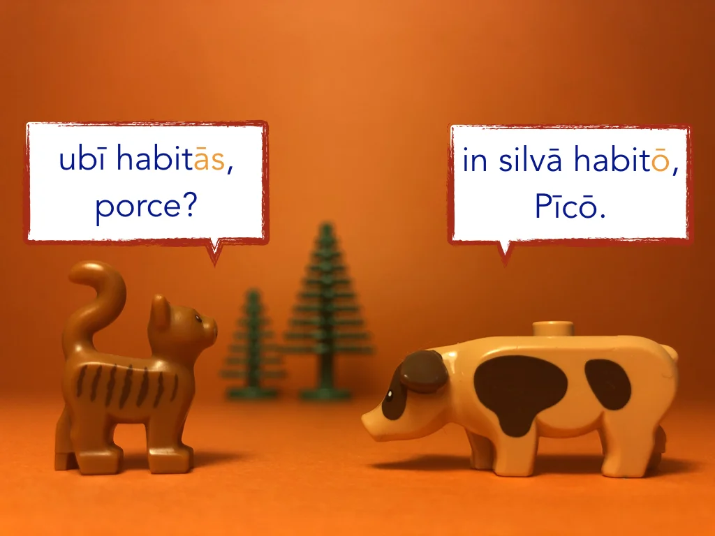 Disco Lesson 21 Remix.029.jpeg