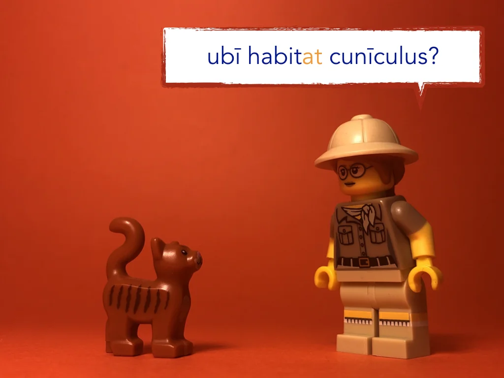 Disco Lesson 21 Remix.031.jpeg