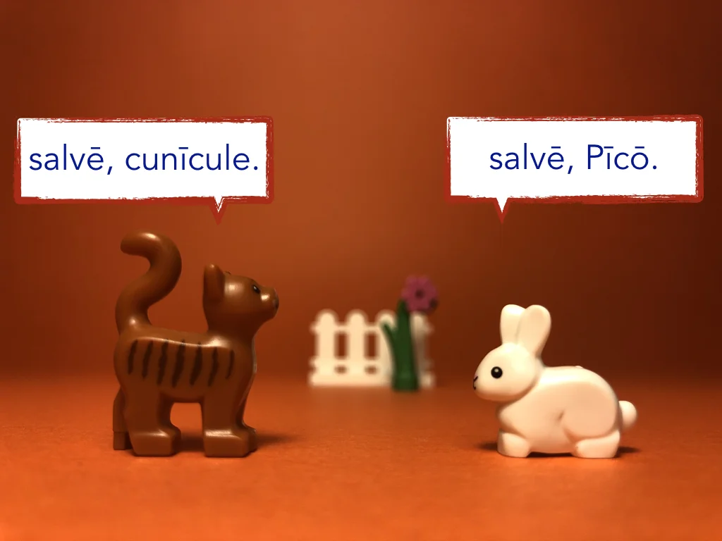 Disco Lesson 21 Remix.032.jpeg