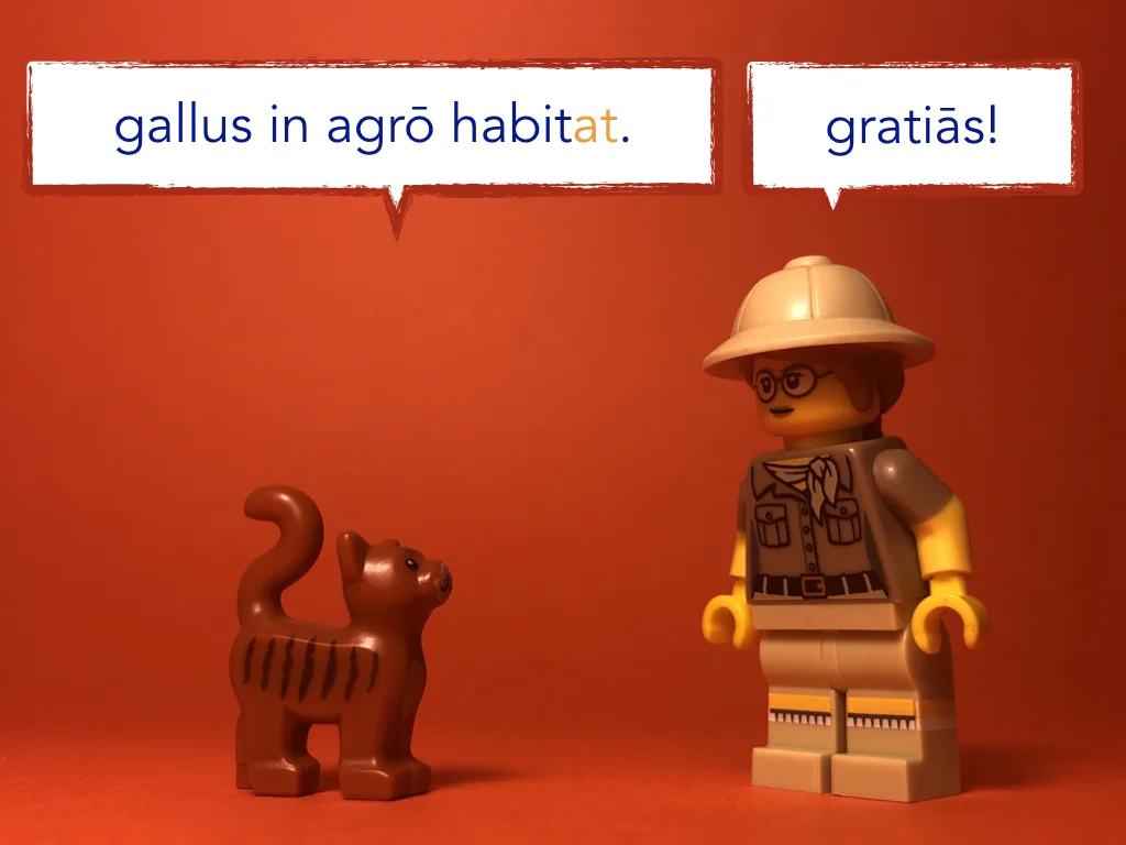 Disco Lesson 21 Remix.038.jpeg