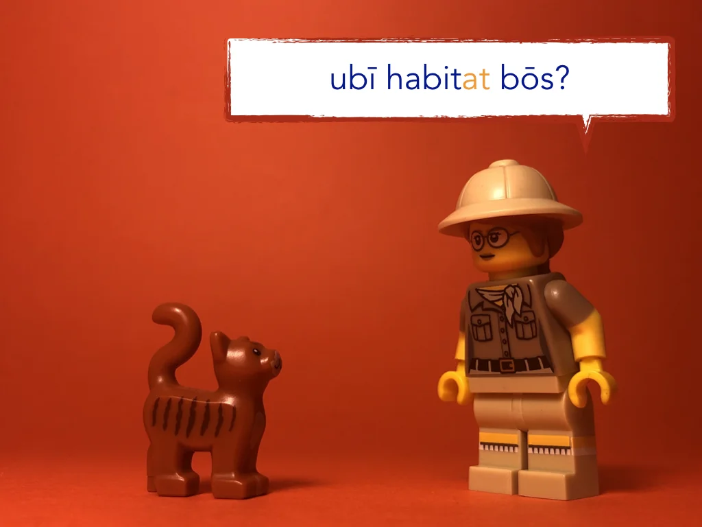 Disco Lesson 21 Remix.039.jpeg