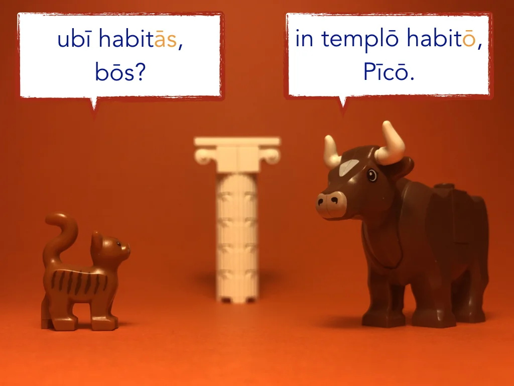 Disco Lesson 21 Remix.041.jpeg