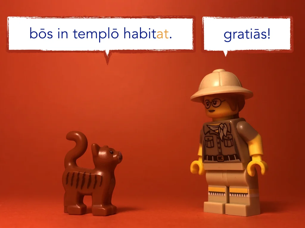 Disco Lesson 21 Remix.042.jpeg