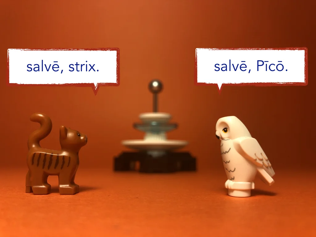 Disco Lesson 21 Remix.044.jpeg