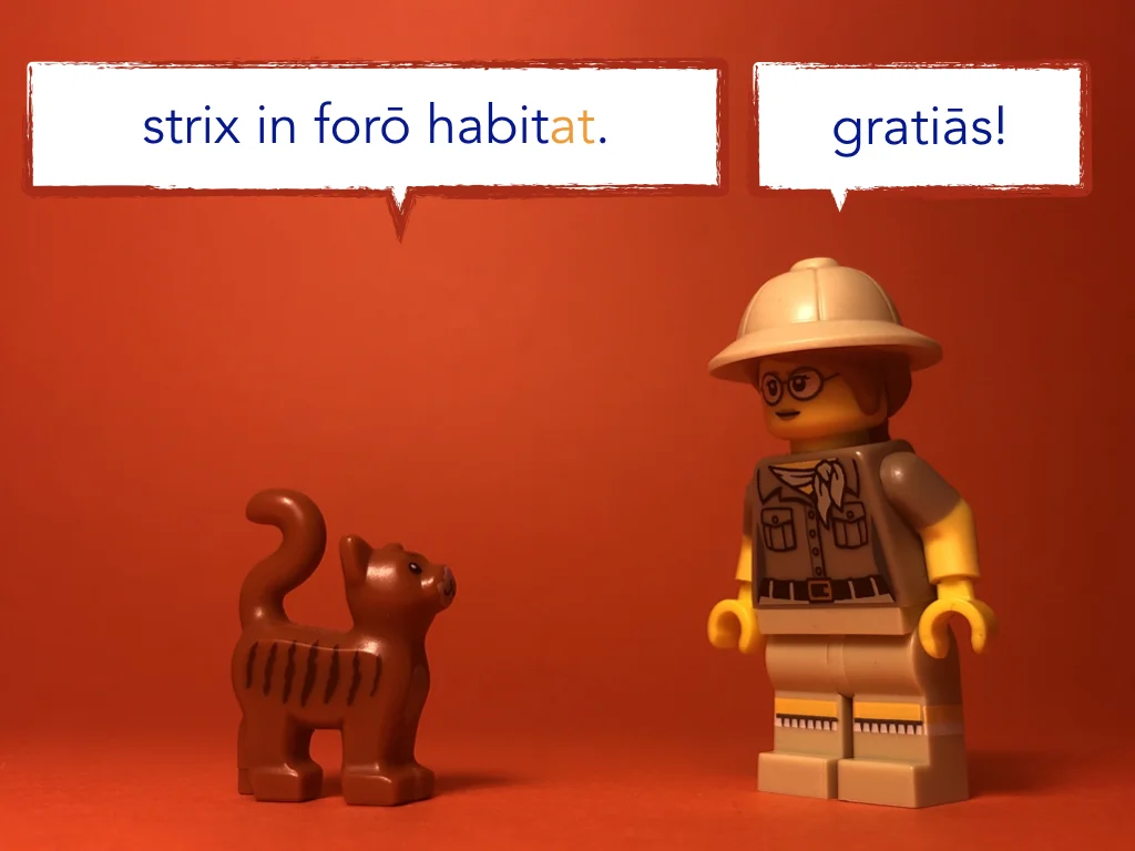 Disco Lesson 21 Remix.046.jpeg