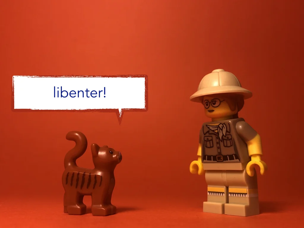 Disco Lesson 21 Remix.047.jpeg