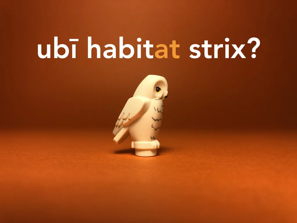 Disco Lesson 21 Remix.049.jpeg