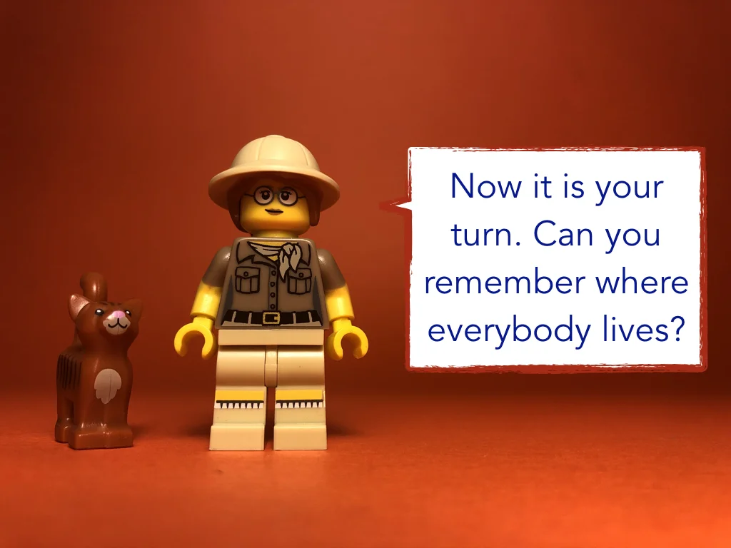 Disco Lesson 21 Remix.048.jpeg