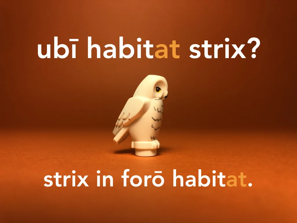 Disco Lesson 21 Remix.050.jpeg