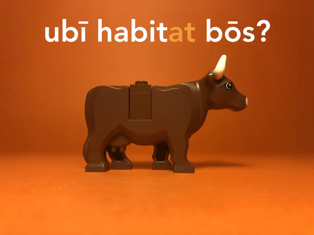 Disco Lesson 21 Remix.051.jpeg