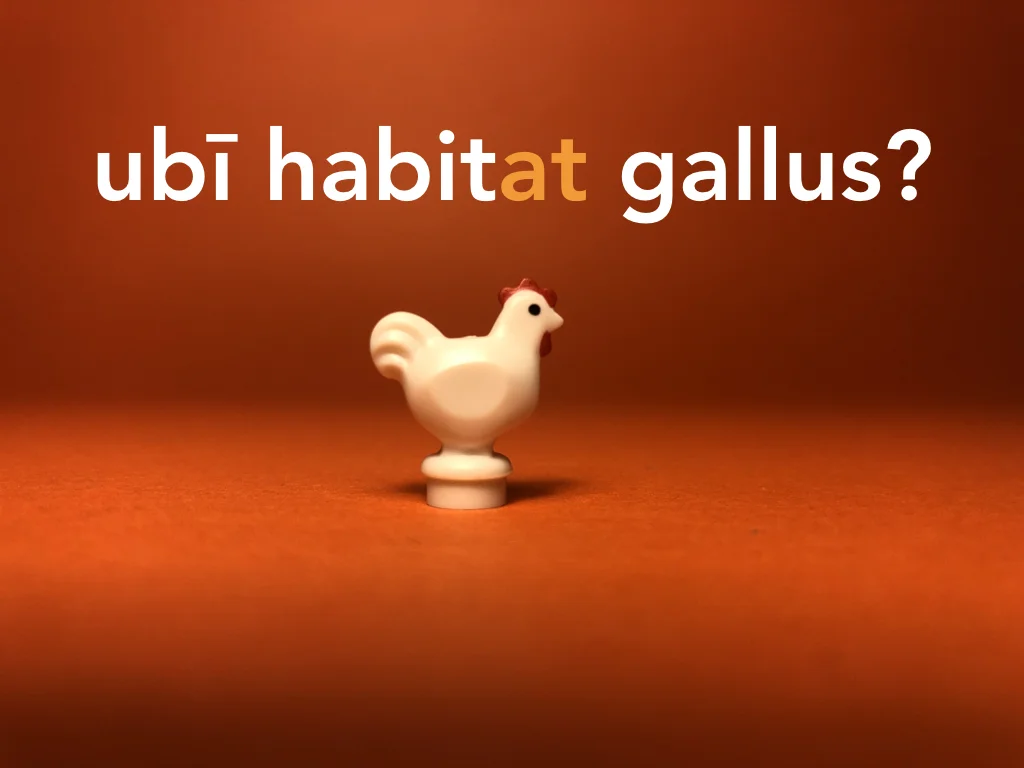 Disco Lesson 21 Remix.053.jpeg