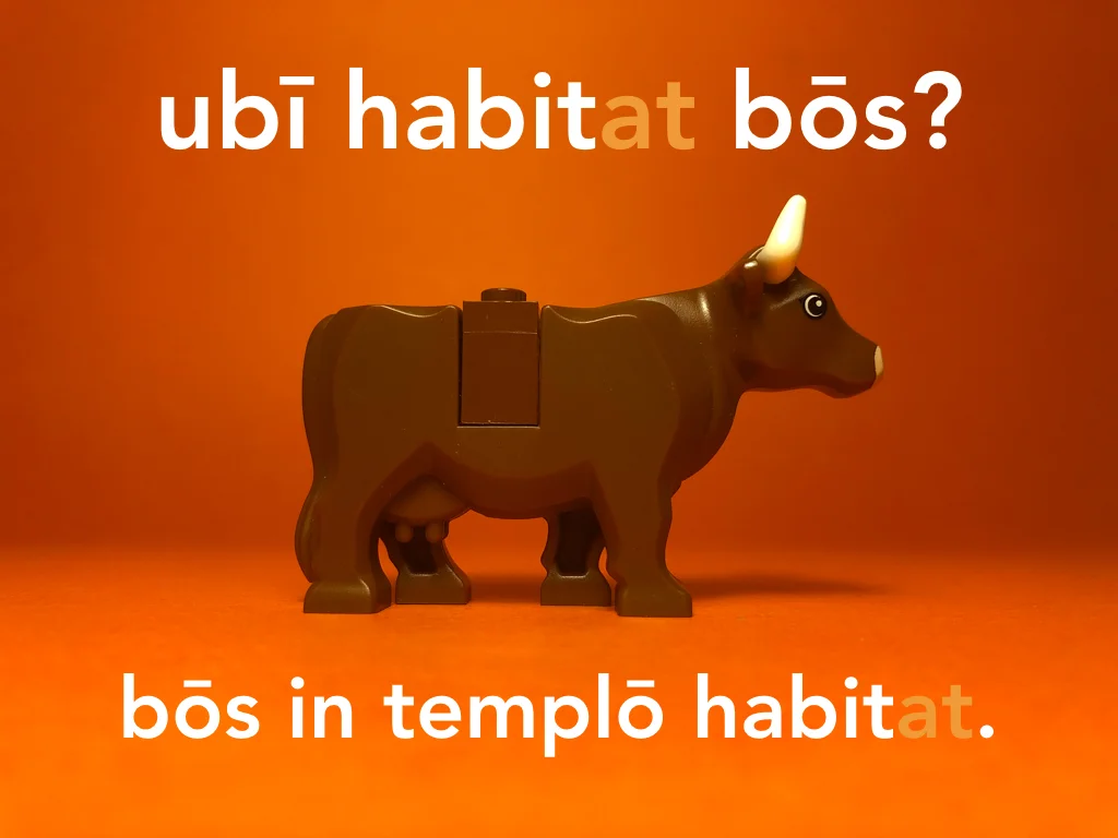 Disco Lesson 21 Remix.052.jpeg