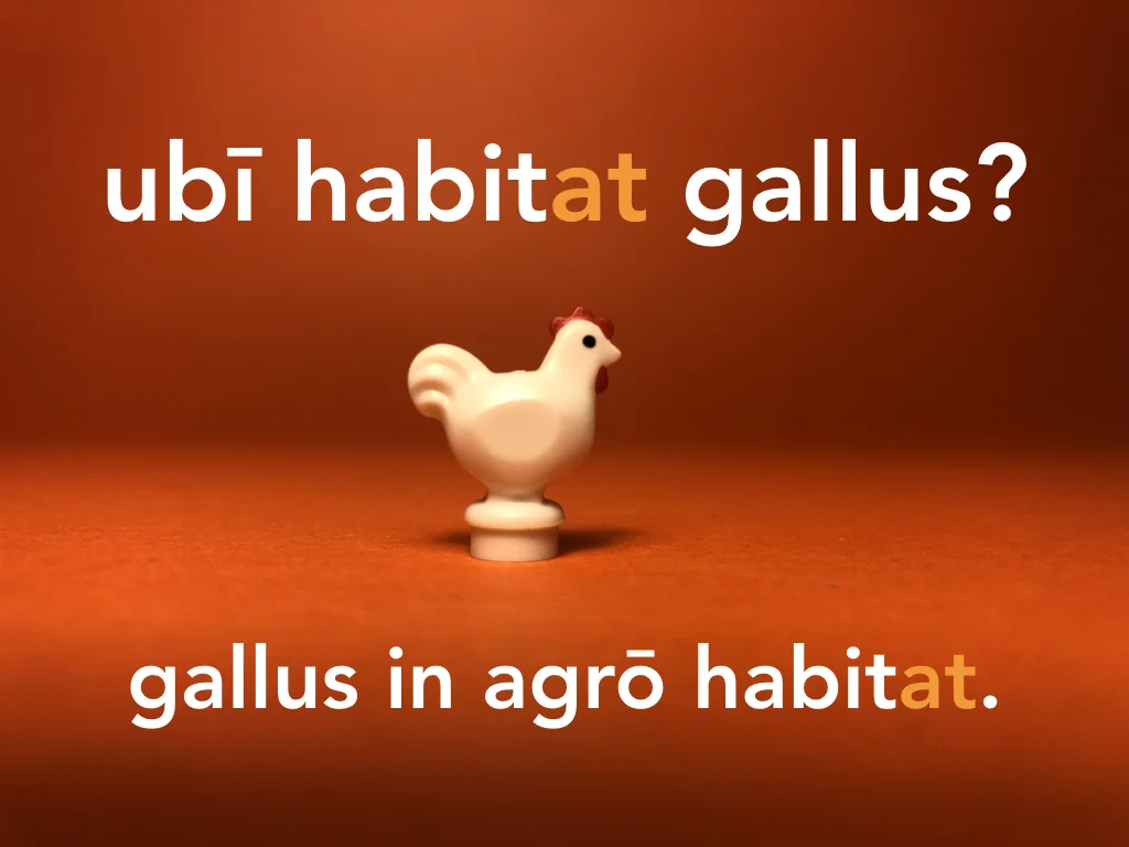 Disco Lesson 21 Remix.054.jpeg