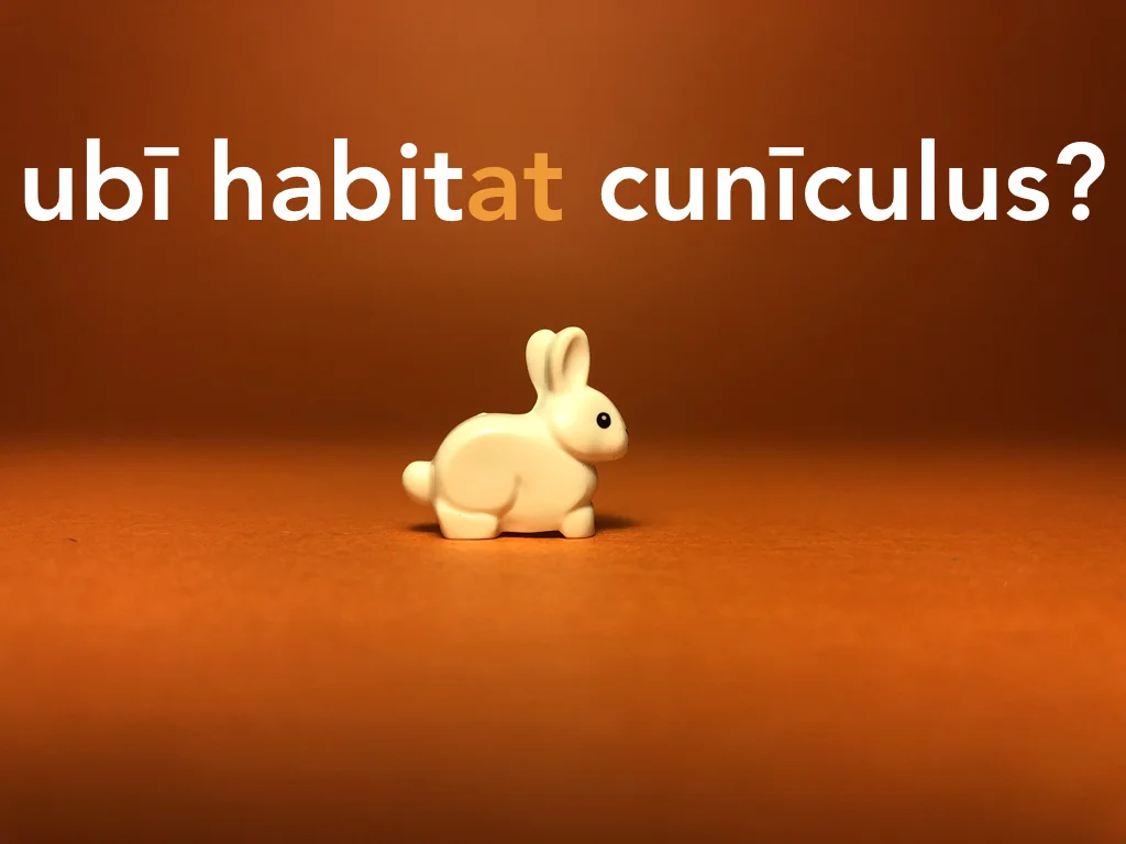 Disco Lesson 21 Remix.055.jpeg