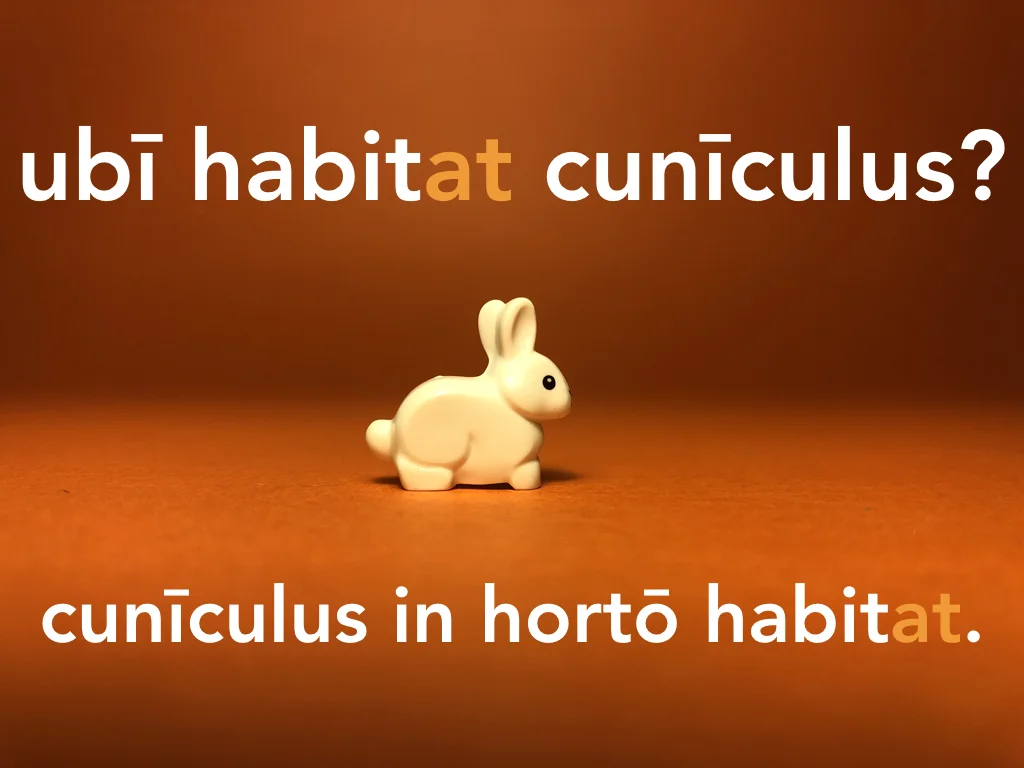 Disco Lesson 21 Remix.056.jpeg