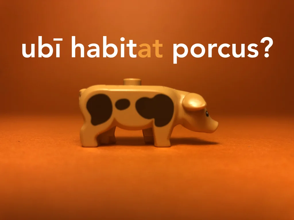 Disco Lesson 21 Remix.057.jpeg