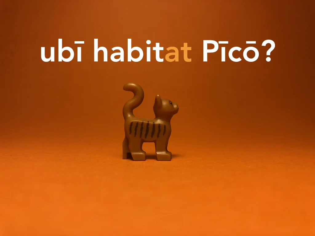 Disco Lesson 21 Remix.059.jpeg